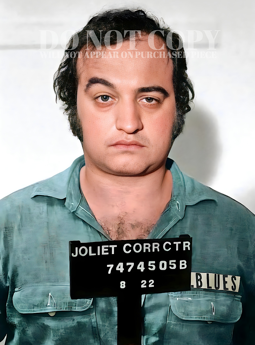 John Belushi Mugshot Photograph 11 X 15 | Magnificent 1980 Mug Shot Portrait | Blues Brothers | Famous Arrest Picture | Jake Blues Busted | The Eighties | SNL | American Comedy Legend | Rare Photo | Poster Art Print