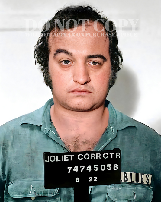 John Belushi Mugshot Photograph 11 X 14 | Incredible 1980 Mug Shot Portrait | Blues Brothers | Famous Arrest Picture | Jake Blues Busted | The Eighties | SNL | American Comedy Legend | RARE Photo | Poster Art Print