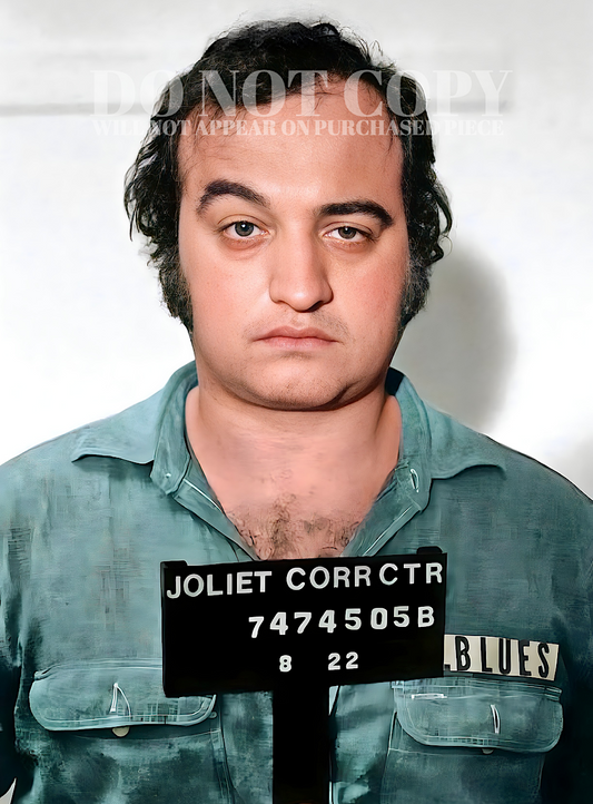 John Belushi Mugshot Photograph 11 X 15 | Magnificent 1980 Mug Shot Portrait | Blues Brothers | Famous Arrest Picture | Jake Blues Busted | The Eighties | SNL | American Comedy Legend | Rare Photo | Poster Art Print