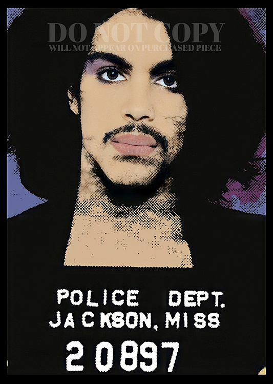 Prince Mugshot Art 11 X 16 | Magnificent 1980 Mug Shot Photograph Portrait | Legendary American Music | Iconic Pop Star | Famous Jackson, MS Arrest Picture | Rare Photo Artwork | Poster Print