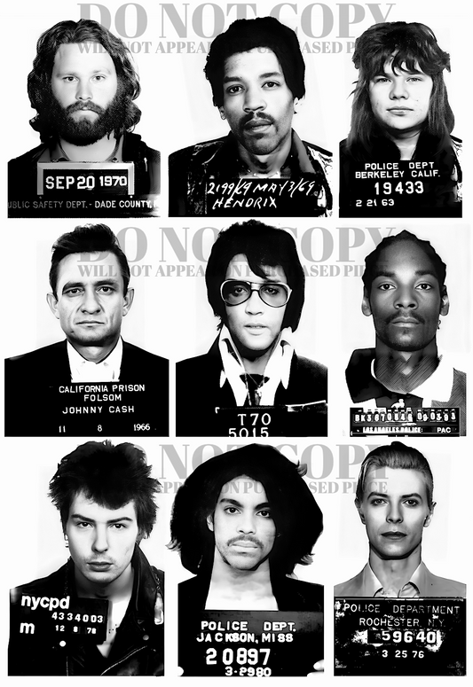 Celebrity Music Mugshots 11 X 17 - Magnificent Mug Shot Collage - Rock and Roll - Vintage Mugshot Collection - Rare Photos - Poster Art Print