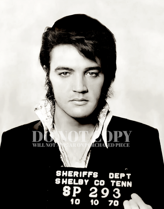 Elvis Mugshot Photograph 11 X 14 - Magnificent 1970 Mug Shot Portrait - Busted - Shelby County, Tennessee - The King - Rare Photo - Poster Art Print