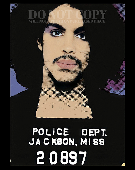 Prince Mugshot Artwork 11 X 14 | Incredible 1980 Mug Shot Portrait | Screen Print Photograph | Legendary American Music | Iconic Pop Star | Famous Jackson, MS Arrest Picture | 11X14 Inches | RARE Photo Art | Poster Print