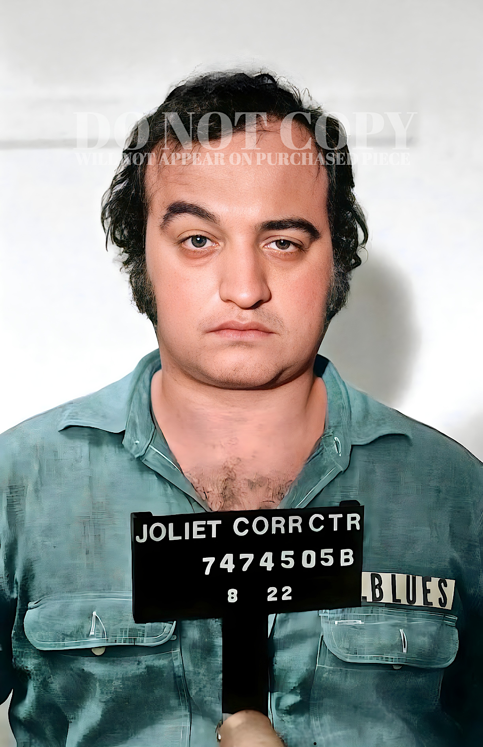 John Belushi Mugshot Photograph 11 X 17 - Magnificent 1980 Mug Shot Portrait - The Blues Brothers - Famous Arrest Picture - Jake Blues - Busted - The Eighties - SNL - American Comedy Legend - Rare Photo - Poster Art Print