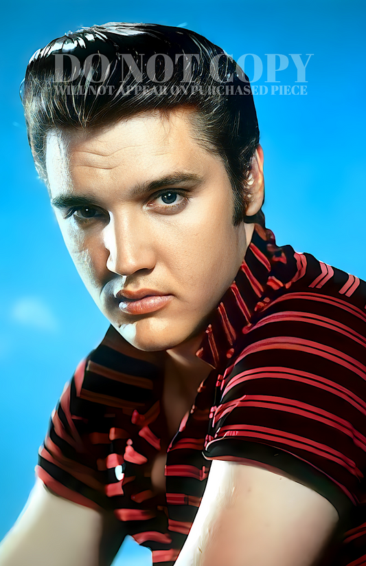 Elvis Presley Photograph 11 X 17 - Magnificent 1956 Portrait - Legendary American Music - Rock and Roll - 50s - The King - Early Years - Iconic Publicity Picture - Blue Suede Shoes - 100% Best Quality Version Available - Rare Photo - Poster Art Print