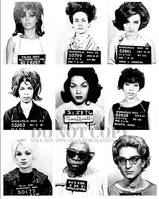 Ladies Mugshot Photograph 11 X 14 - Stunning 1960s Mug Shot Portrait Collage - Busted - The Sixties - Women - Rare Photo - Poster Art Print