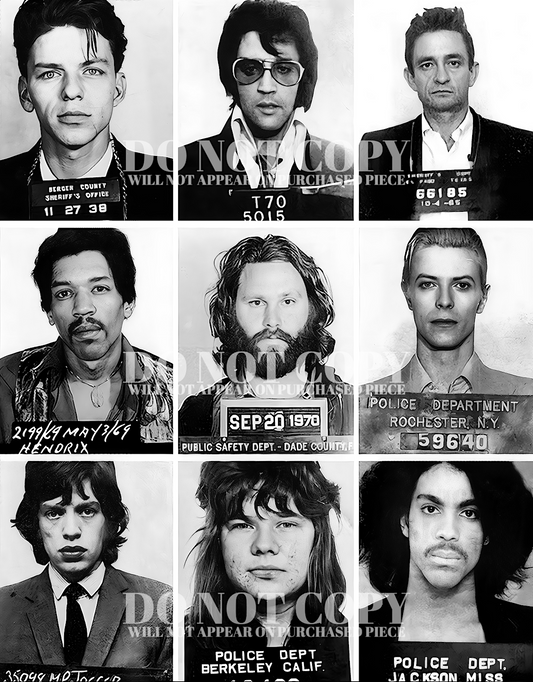 Famous Music Mugshot Photograph 11 X 14 - Marvelous Mug Shot Collage - Rock and Roll - Most Wanted - Vintage - Rare Photo - Poster Art Print