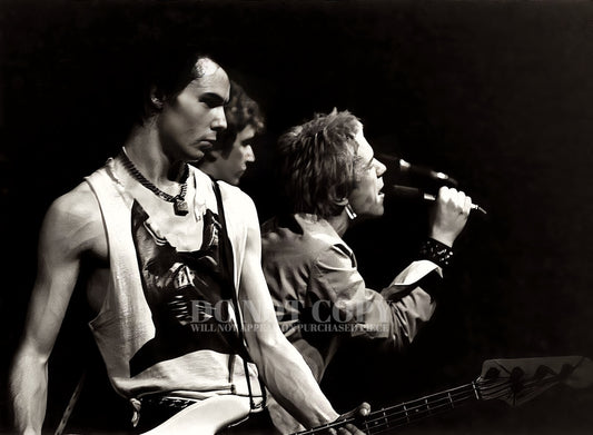 The Sex Pistols Photograph 11 X 15 - Magnificent 1977 Live Concert Portrait - Sid Vicious - Johnny Rotten - Steve Jones - Legendary Punk Rock Band - British Music Icons - Vintage - Stunning Picture - 11X15 Inches - Rare Photo - Poster Art Print