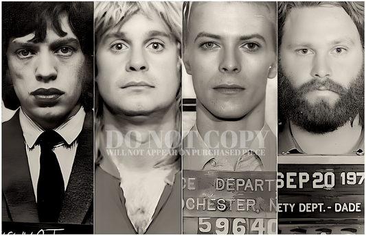 Music Mugshot Photograph Set 11 X 17 - Magnificent Mug Shot Collage - Rock and Roll's Most Wanted - Lead Singers - Busted - Rare Photos - Poster Art Print